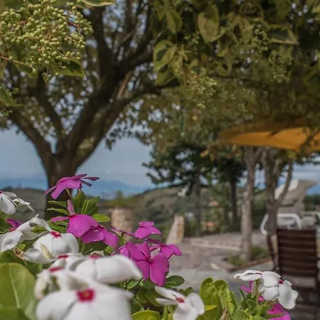 Casa Vacanza Don Michele Ogliastro Cilento
