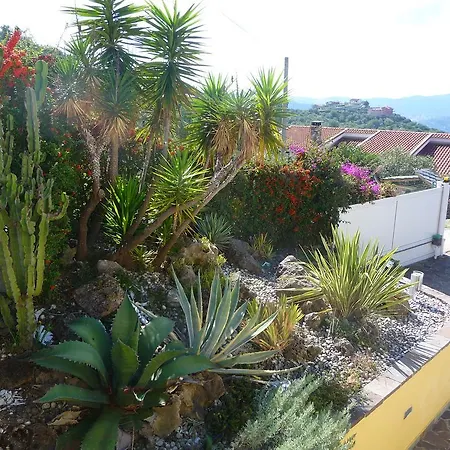 Casa Vacanza Don Michele Ogliastro Cilento