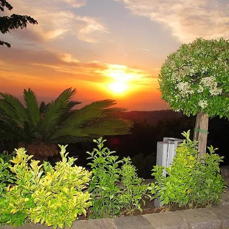 Casa vacanze Casa Vacanza Don Michele Ogliastro Cilento